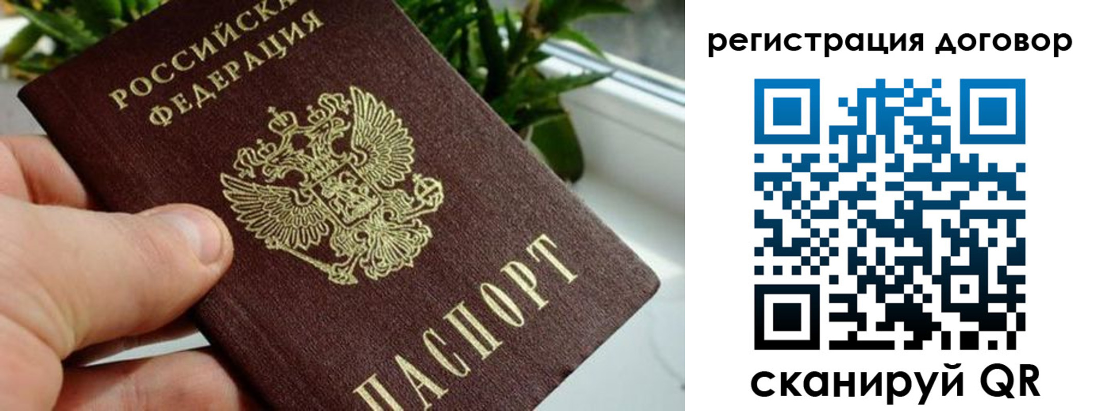 прописка ребенка в Краснозаводске
